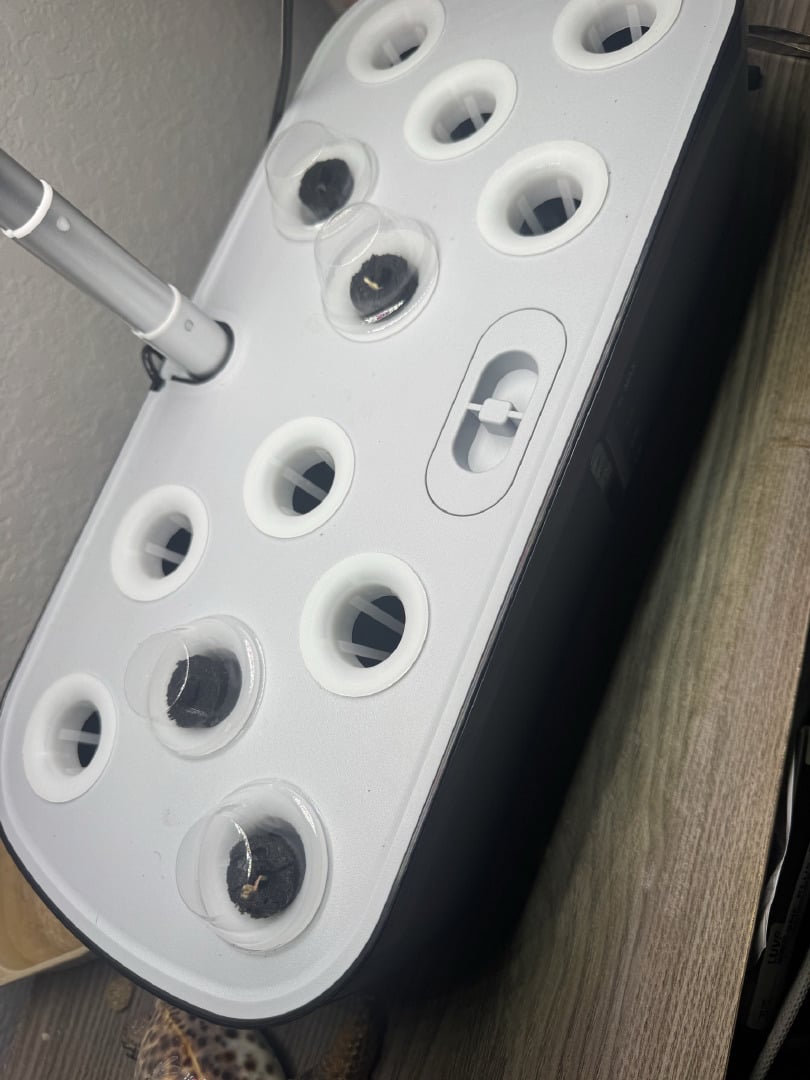 Round 1