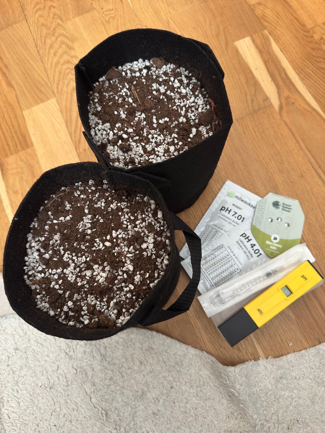 2x Blue Cheese Auto - RQS