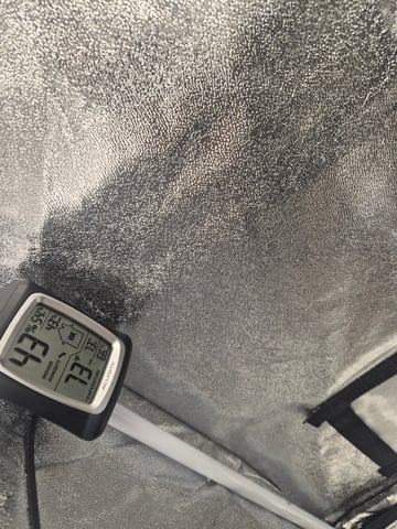 I'll get it right — vegetative, day 27