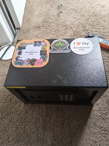 Seedman mix auto & seedman mix auto & GodFather OG — none, day 51