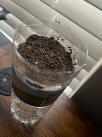 Fall Semester — seedling_rooting, day 5