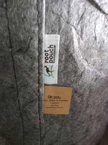 closet grow for veg with a.c infinity air intake fan .With no carbon filter just suction,and spider farmer sf 7000.Then a spider farmer sf tent 4×4×6.5with a G1500 l.e.d from spiderfarmer and spider farmer 6inch clip oscalating fan. — flower, day 50
