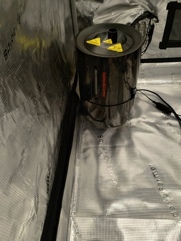 Photo Time📸🕞 — grow_setup, day 1