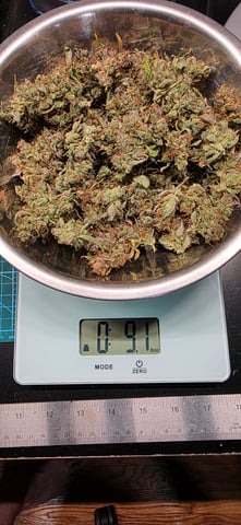 Here We Grow... — flower, day 119