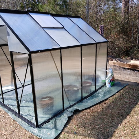 run #3 — flower, day 85