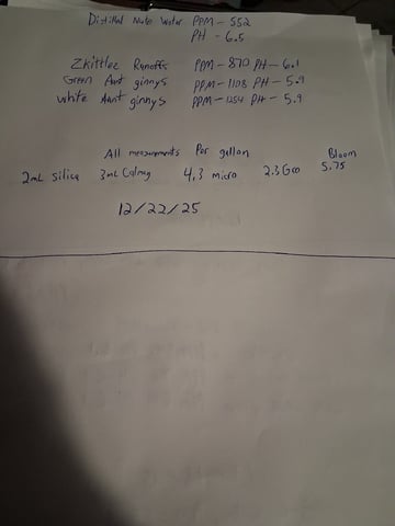 Lemon Cherry Cookies, Purple Haze and Strawberry Gorilla Grows — flower, day 99