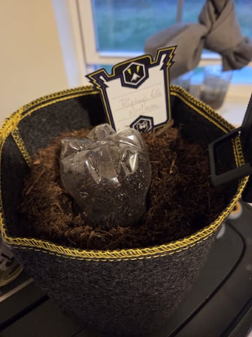 Ripley OG — seedling_rooting, day 2