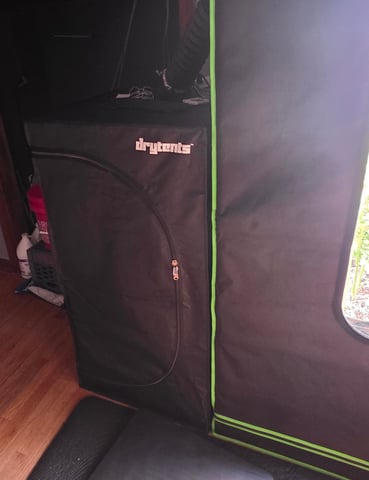 WHAT THE HELL JUST HAPPENED!!! — grow_setup, day 62