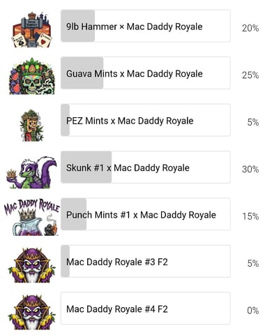 You 🫵 Decide 🗳