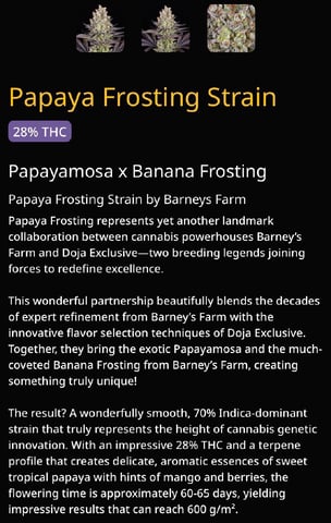 Papaya Frosting  — germination, day 1