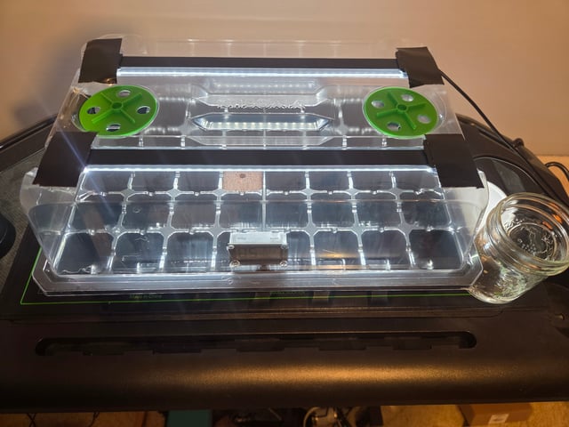 Wedding Cake Photo — grow_setup, day 2