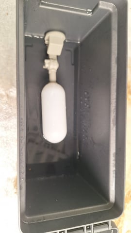 Experimental DIY Run — flower, day 4