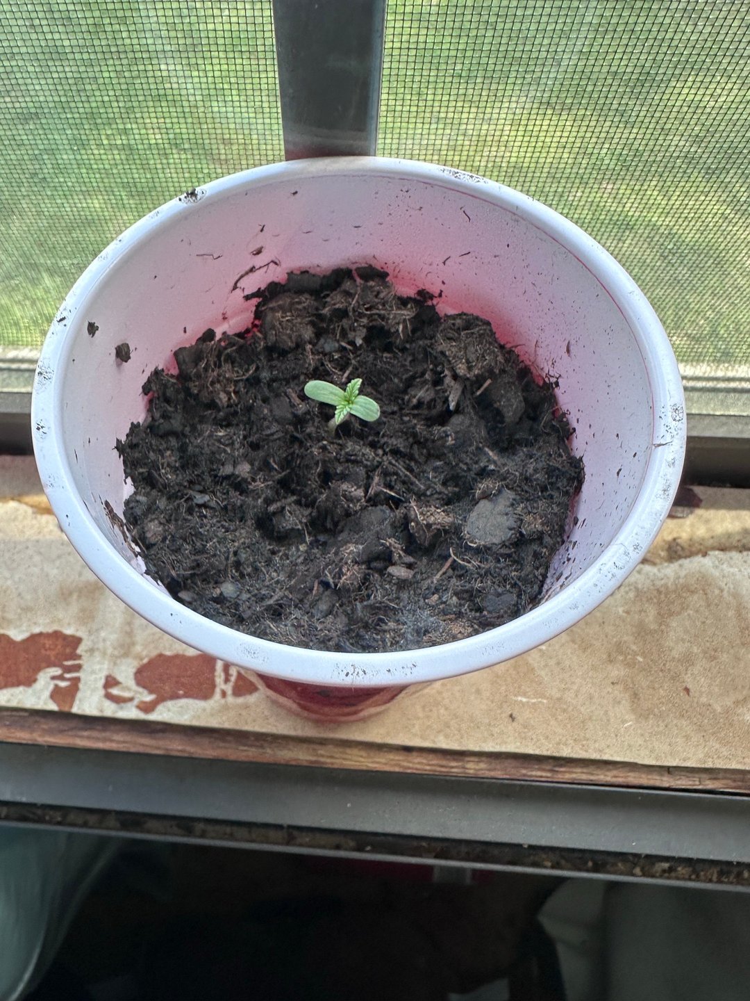 Grow Number 2