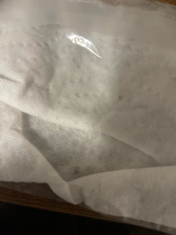 Fall Semester — grow_setup, day 1