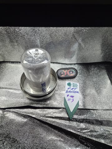 I'll get it right — vegetative, day 30