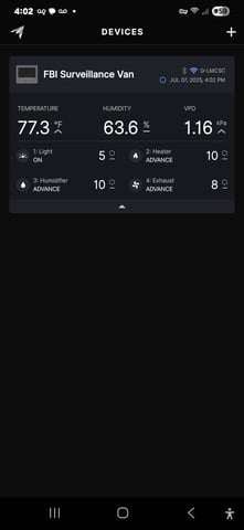 Purple Haze  — vegetative, day 43