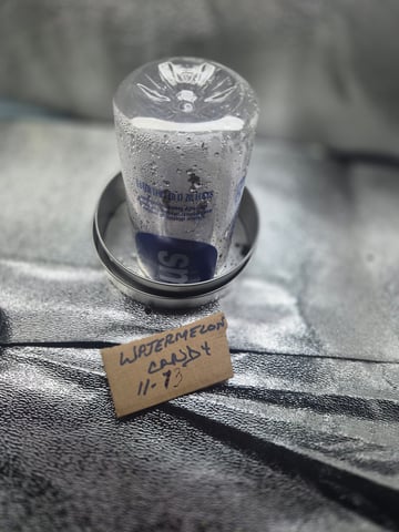 I'll get it right — vegetative, day 42