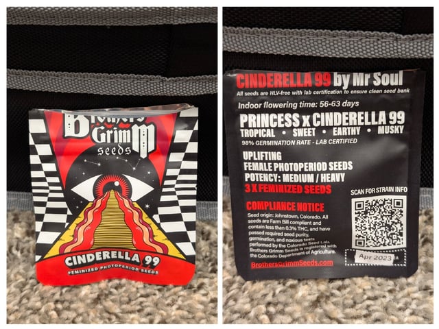 Cinderella 99 — grow_setup, day 2