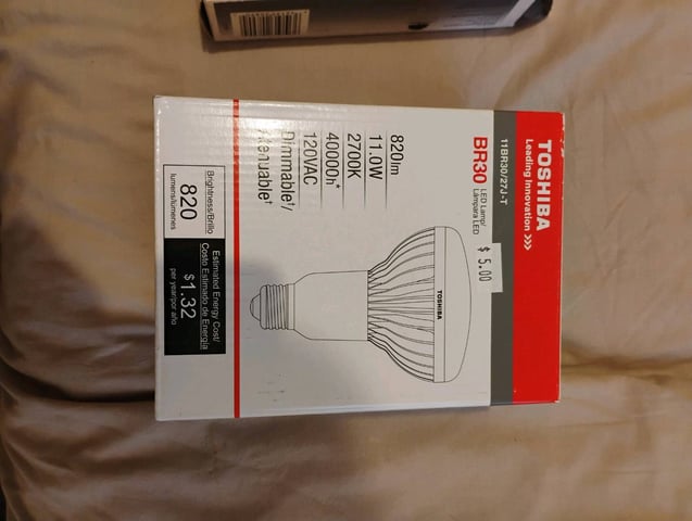 GreenCrack Feminized  (Samurai Squirrel Seeds) — germination, day 2