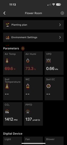 Gelly Mama and Sugar Tree — vegetative, day 56