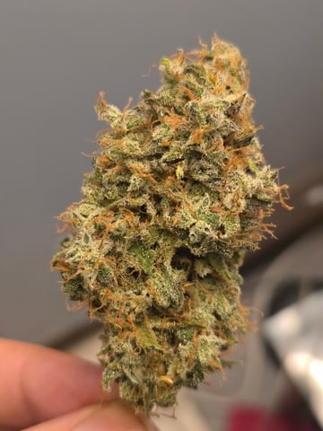 2nd Autoflower Indoor Grow — flower, day 102