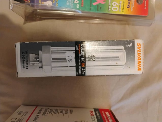 GreenCrack Feminized  (Samurai Squirrel Seeds) — germination, day 2