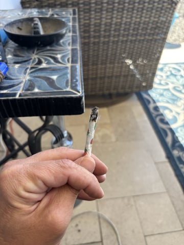 new seeds grow #2 — done, day 99