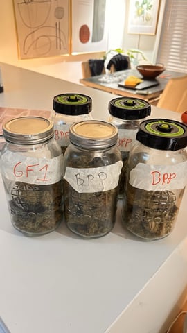 Autos: Banana Purple Punch (1)  & Guava Fig (2)