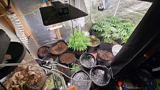 4th APRIL — grow_setup, day 1