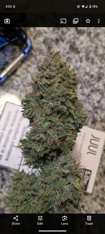 first grow — flower, day 81