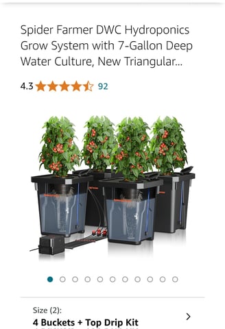 Strawberry Cheesecake Auto from Seedsman — grow_setup, day 1