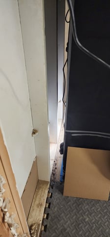 First clones (Dr nefario)  — vegetative, day 23