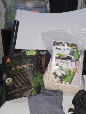 Homegrown - 🍒 🥧 & GSC Auto, 🚀 Seeds 🍌 Buttercups  — grow_setup, day 1