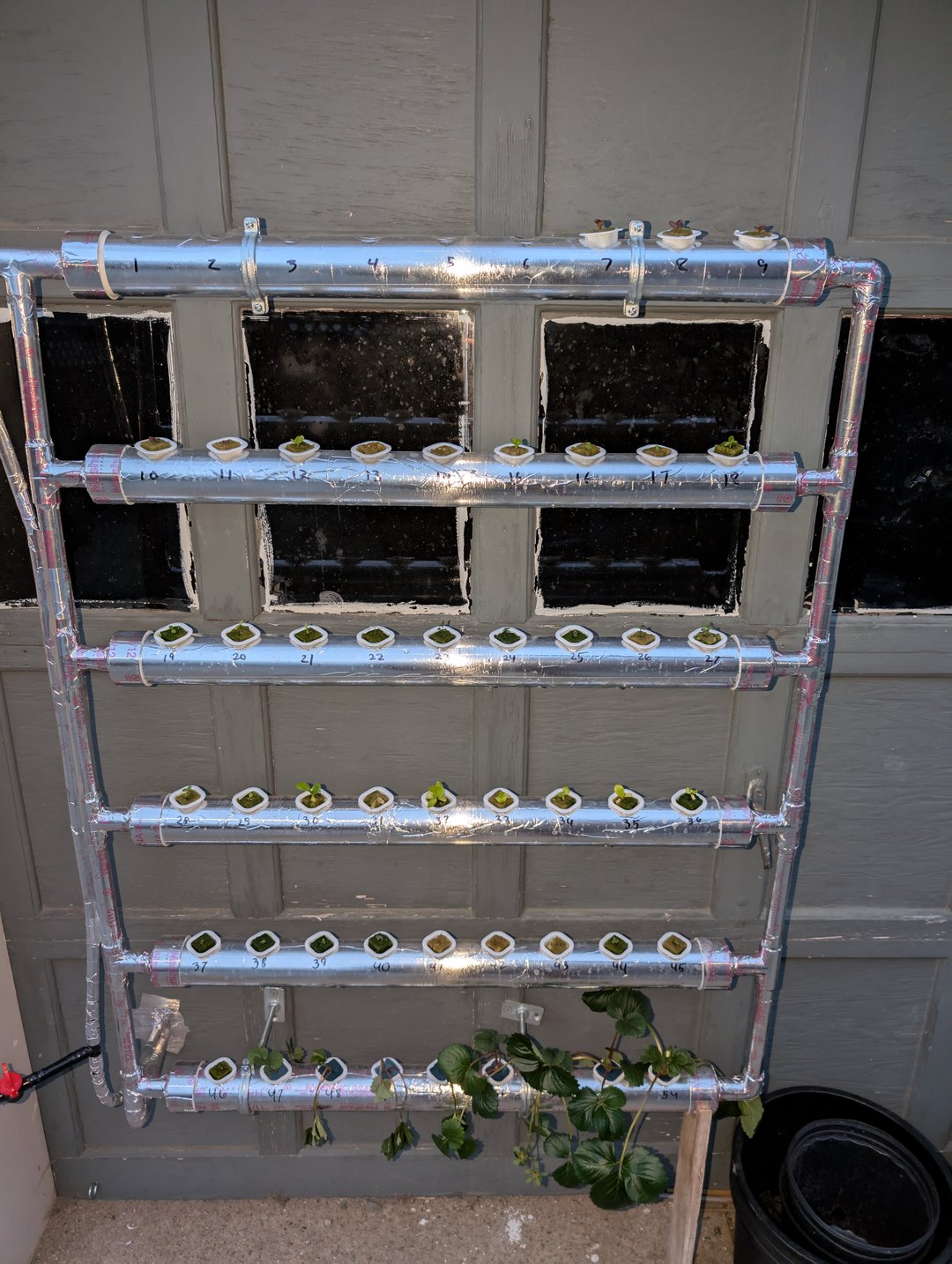 outdoor hydro ladder