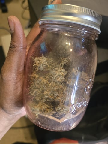 Indoor — done, day 110