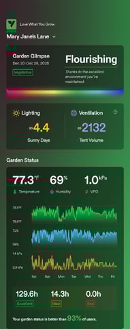 FastBuds Photo-Lemon Mandarin  — vegetative, day 22