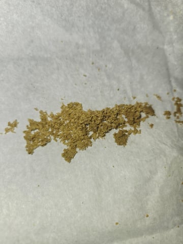 Fastbuds Autoflower Run — harvest, day 92