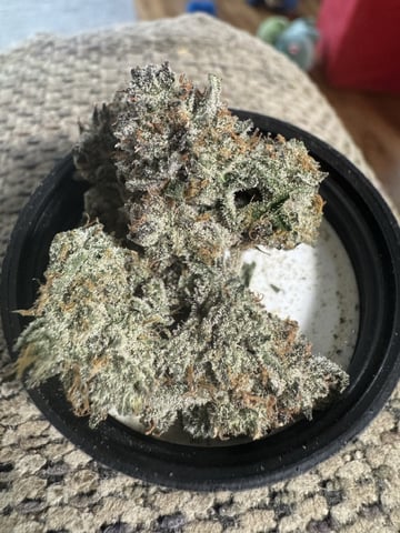 catpiss canyon & Apple Candie 