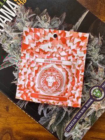 Frugal Farmer #1 — germination, day 1