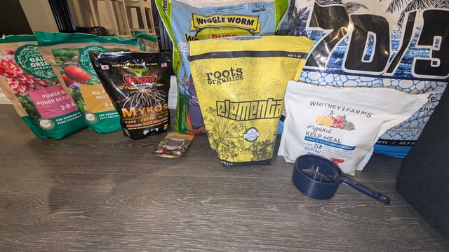 Mixed Grow — grow_setup, day 1