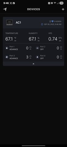 First Grow — harvest, day 131