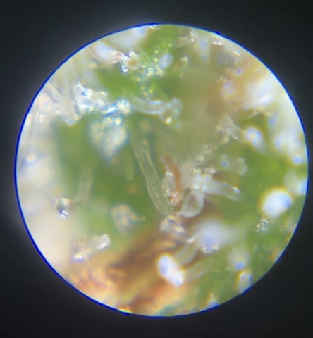 Northern Lights & Quick One  — done, day 141