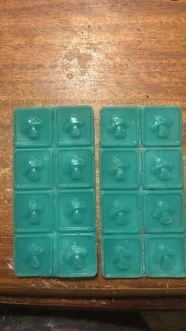 First magic mushroom grow