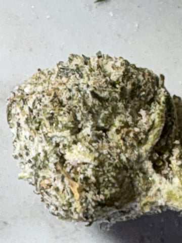 northern Lights “AUTO’S” — done, day 56