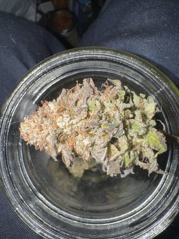 Hollywood Headband and LimeHeads  — done, day 204