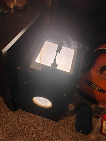 GreenCrack Feminized  (Samurai Squirrel Seeds) — none, day 3