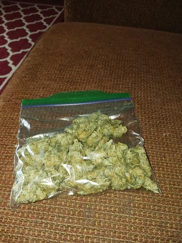 black gorilla feminized 