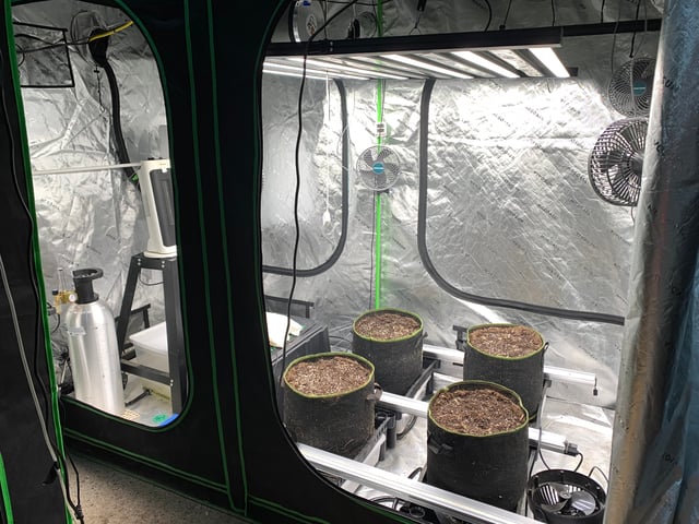 Six  — grow_setup, day 1