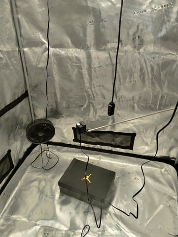 Photo Time📸🕞 — grow_setup, day 1