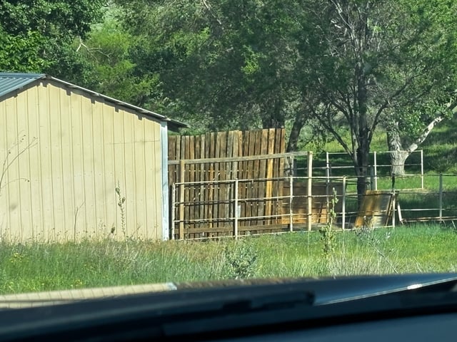 Outdoor Grow — vegetative, day 69